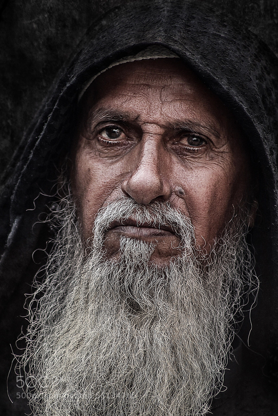 Canon EOS 5D Mark II sample photo. Untitled photography