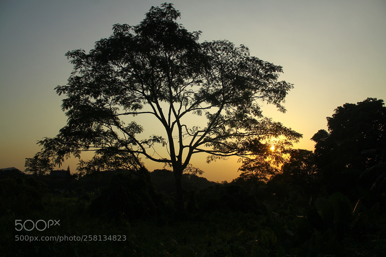 Canon EOS 50D sample photo. Sunset photography