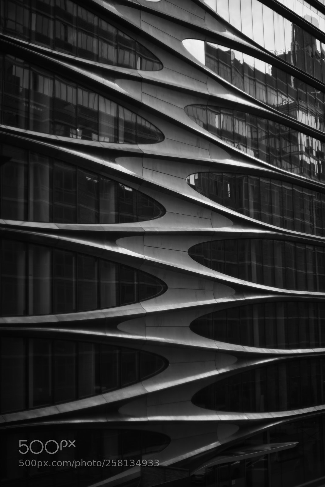 Nikon D750 sample photo. High line view photography