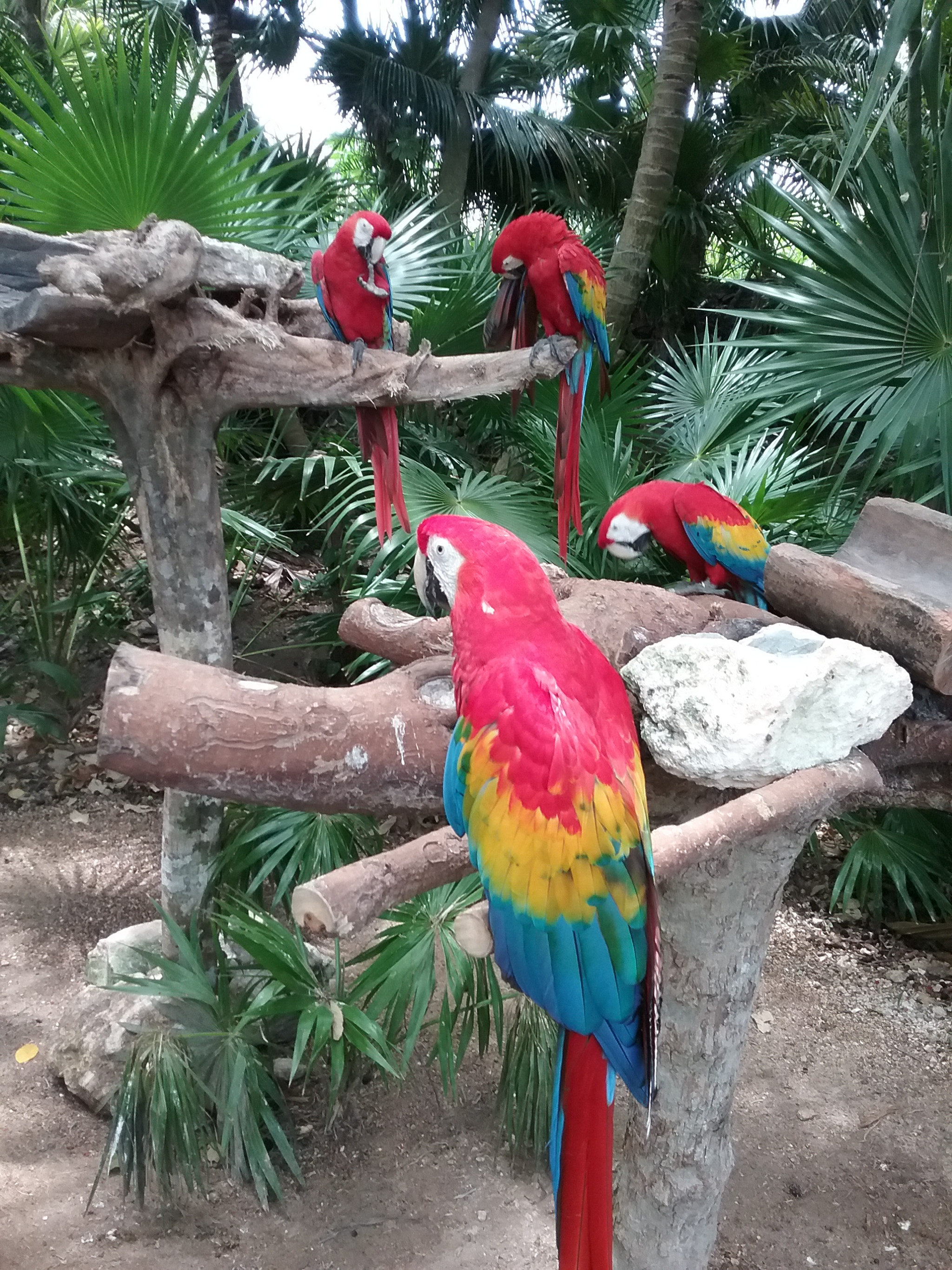 Samsung Galaxy J3 sample photo