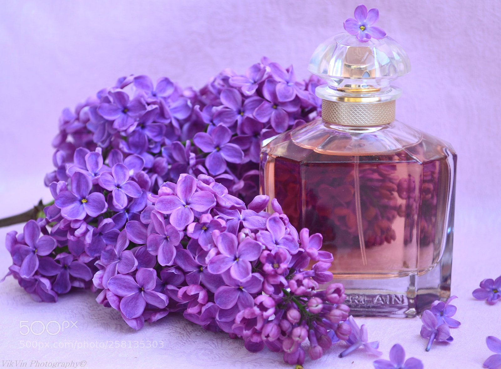 Nikon D3100 sample photo. Mon guerlain photography