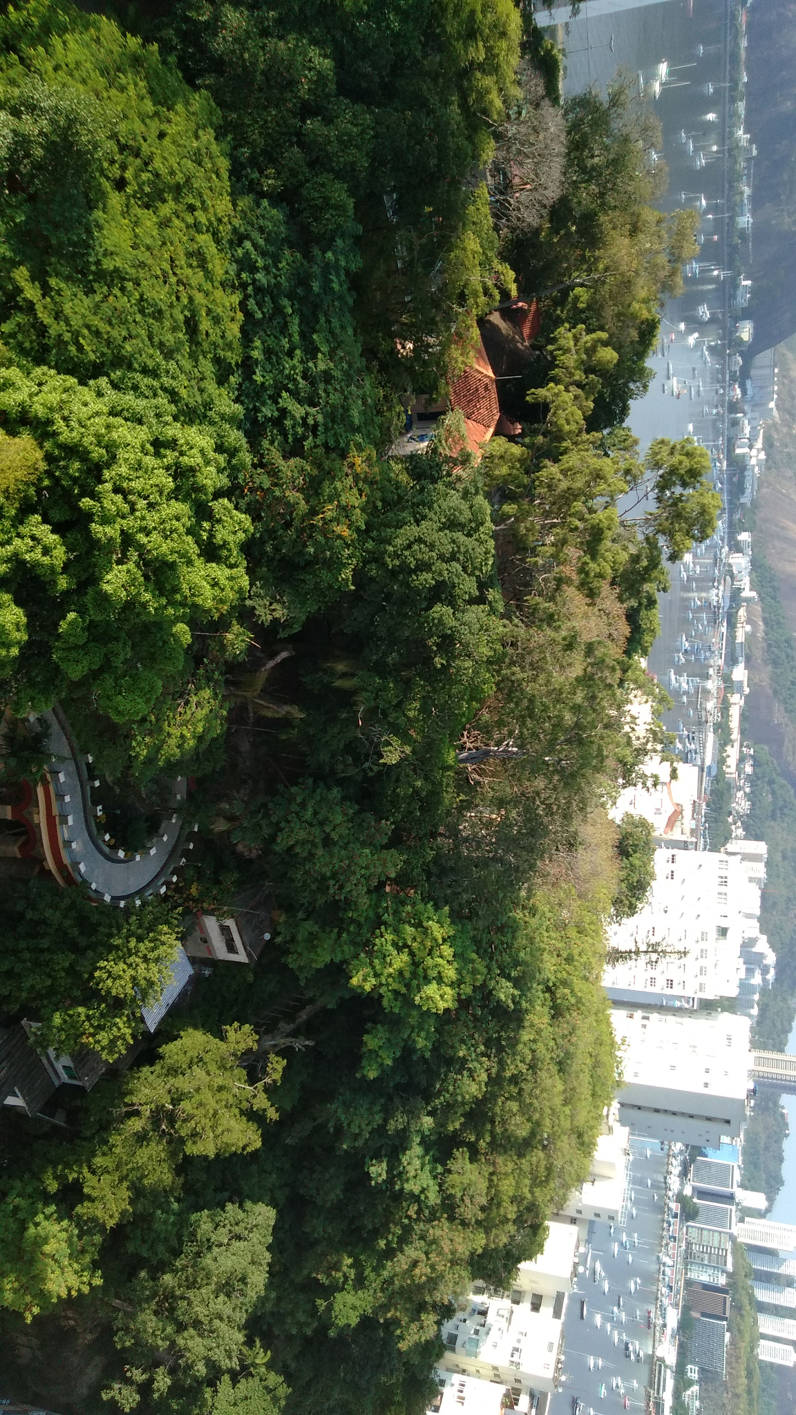 ASUS ZenFone 4 Selfie (ZD553KL) sample photo