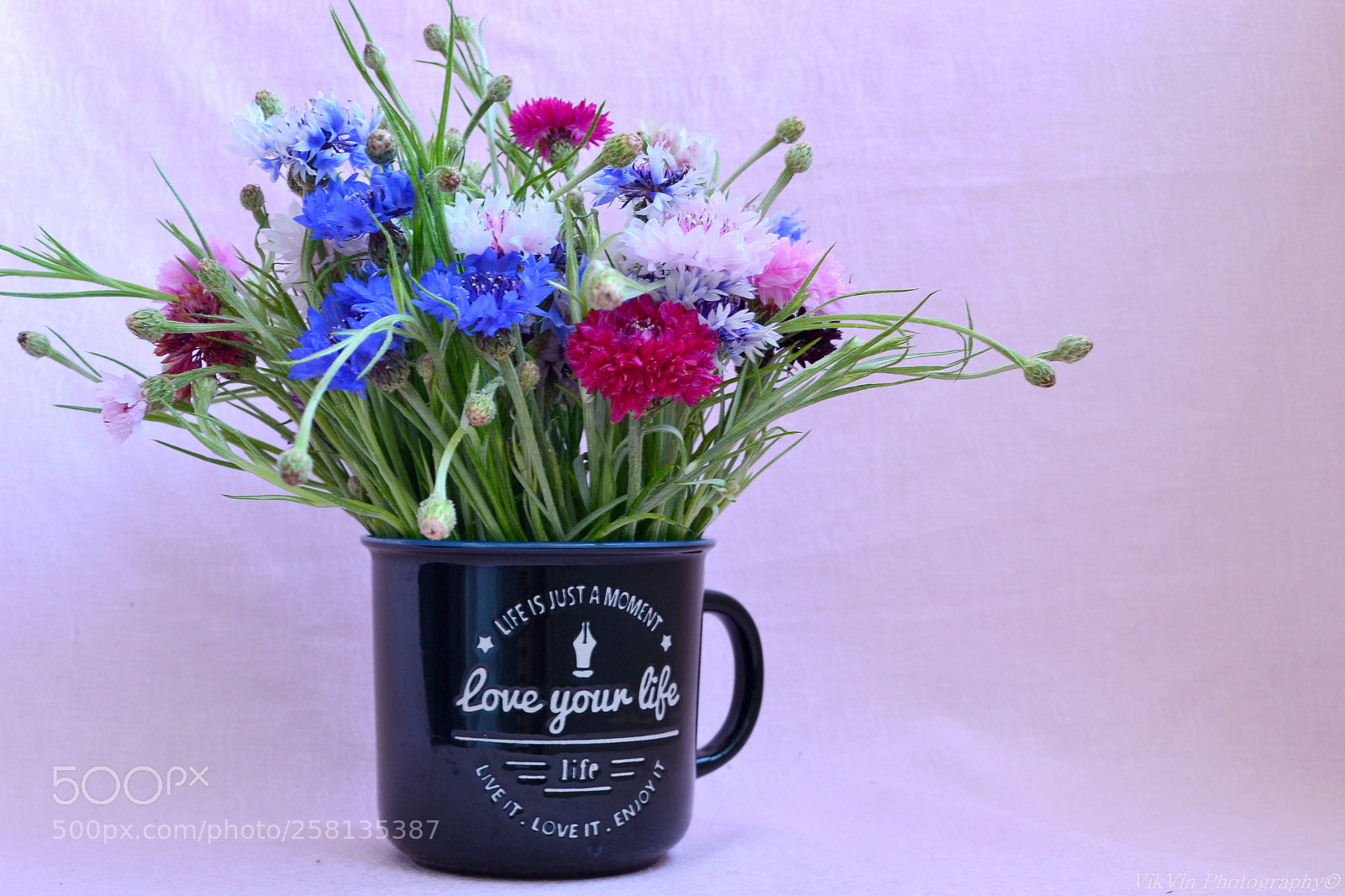 Nikon D3100 sample photo. Enjoy your life photography