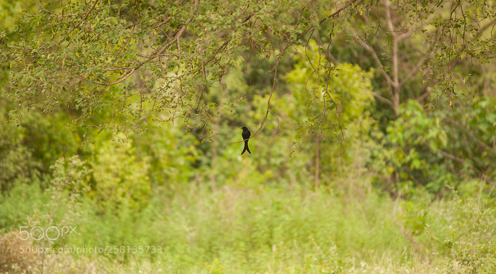 Nikon D700 sample photo. Colors of nature photography
