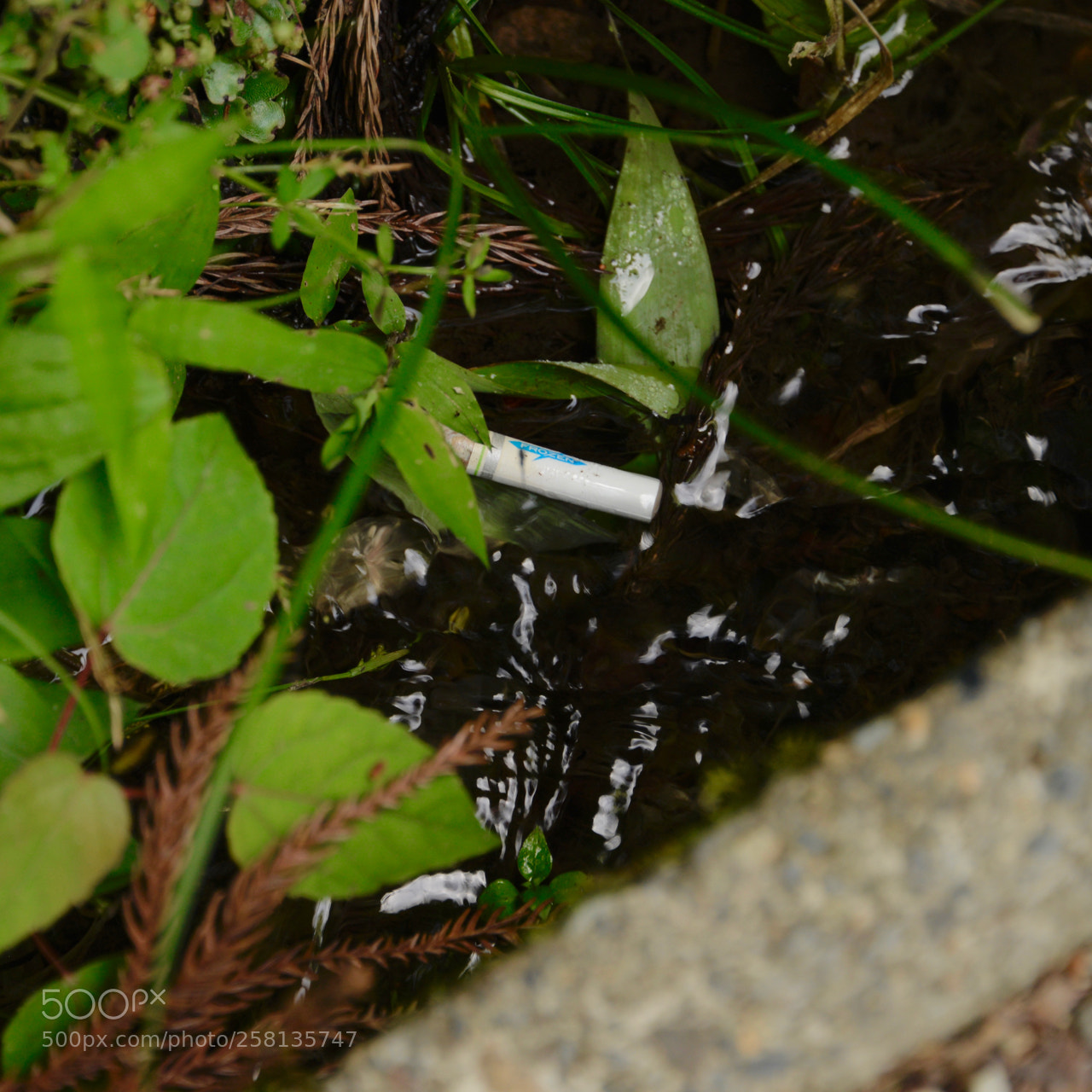 Nikon D610 sample photo. Cigarette butt photography