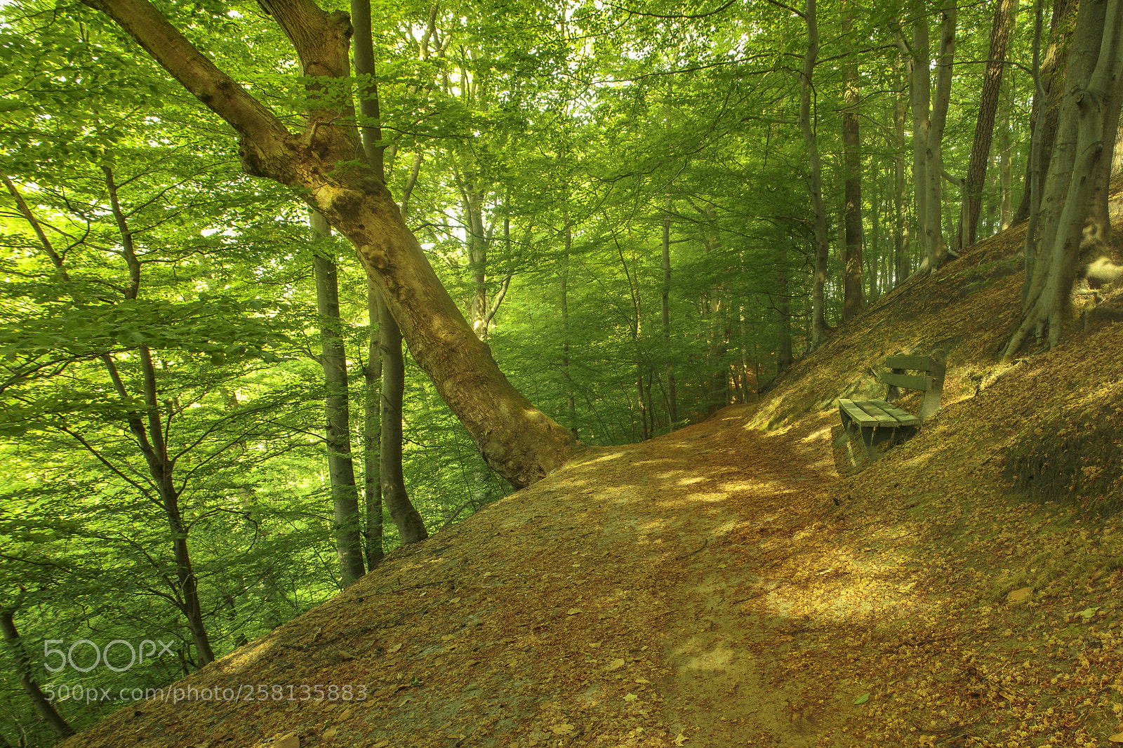 Canon EOS 6D sample photo. Sloping photography