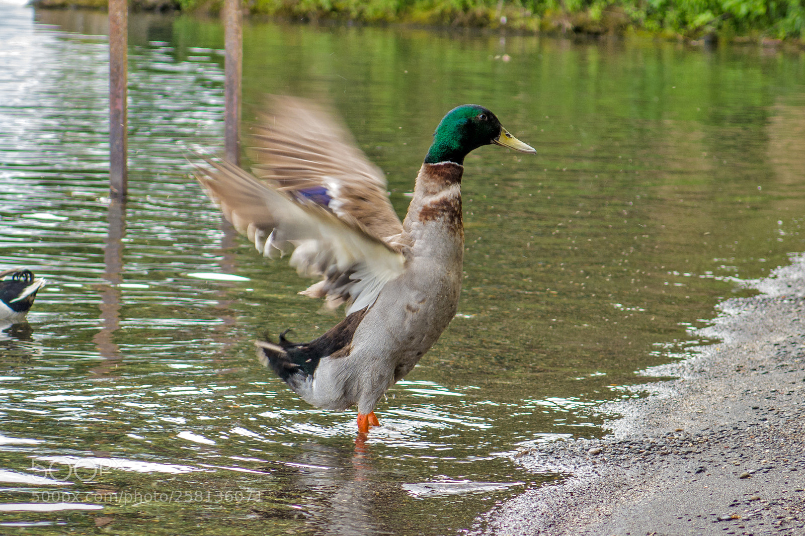 Canon PowerShot G16 sample photo. Germano reale photography