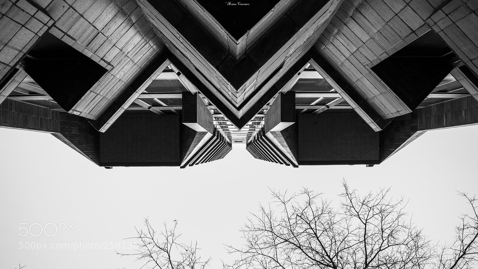 Nikon D5300 sample photo. Dsc photography