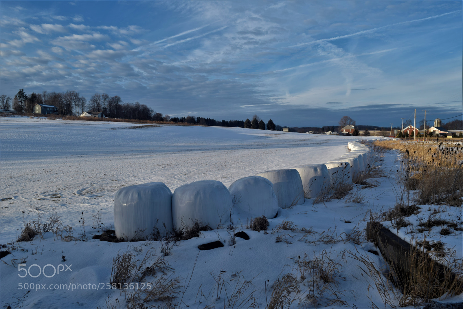 Nikon D3300 sample photo. White and blue photography