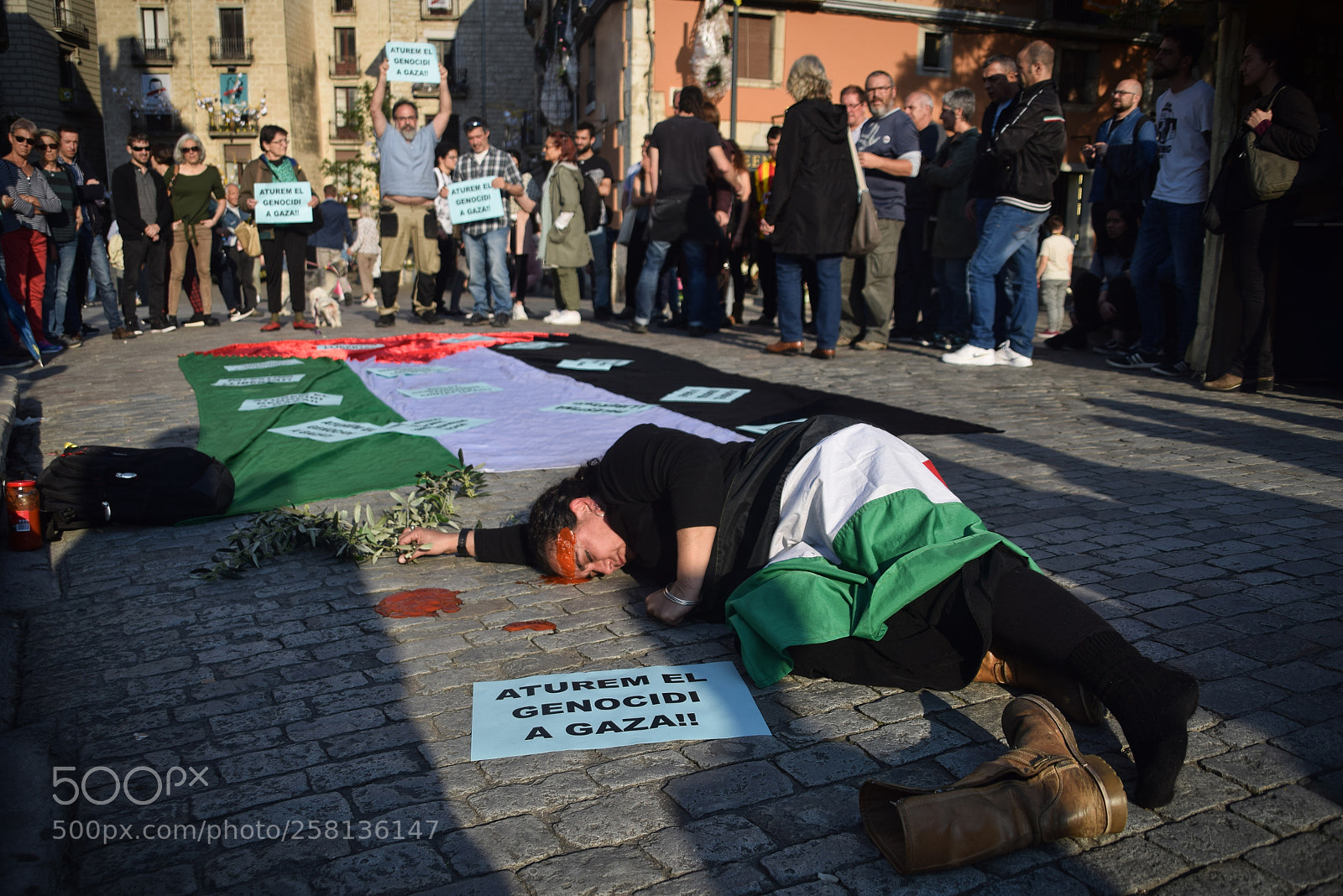 Nikon D3300 sample photo. Girona #freepalestine photography
