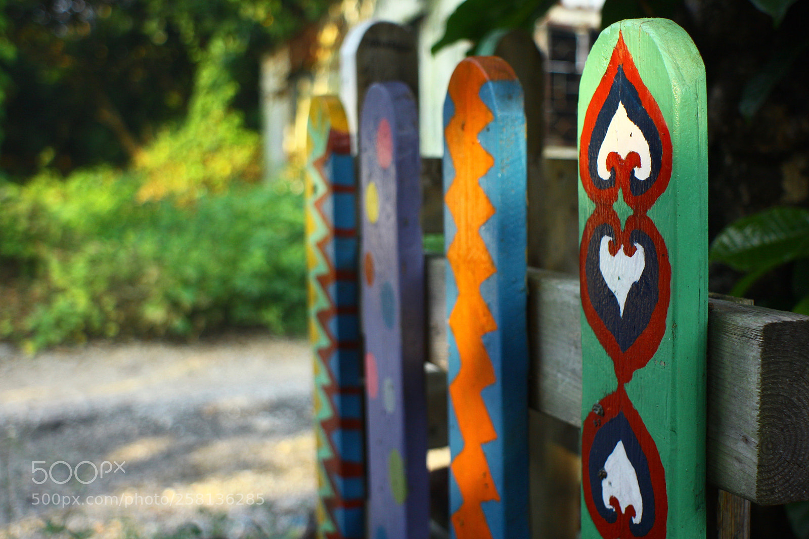 Canon EOS 50D sample photo. Fence photography