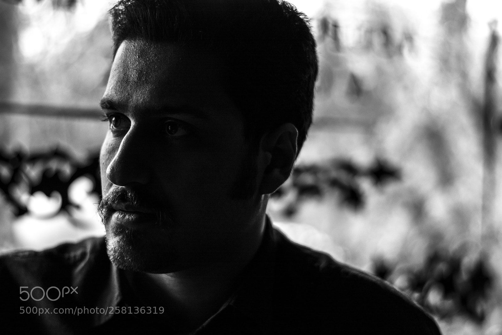 Nikon D5200 sample photo. Black garden photography