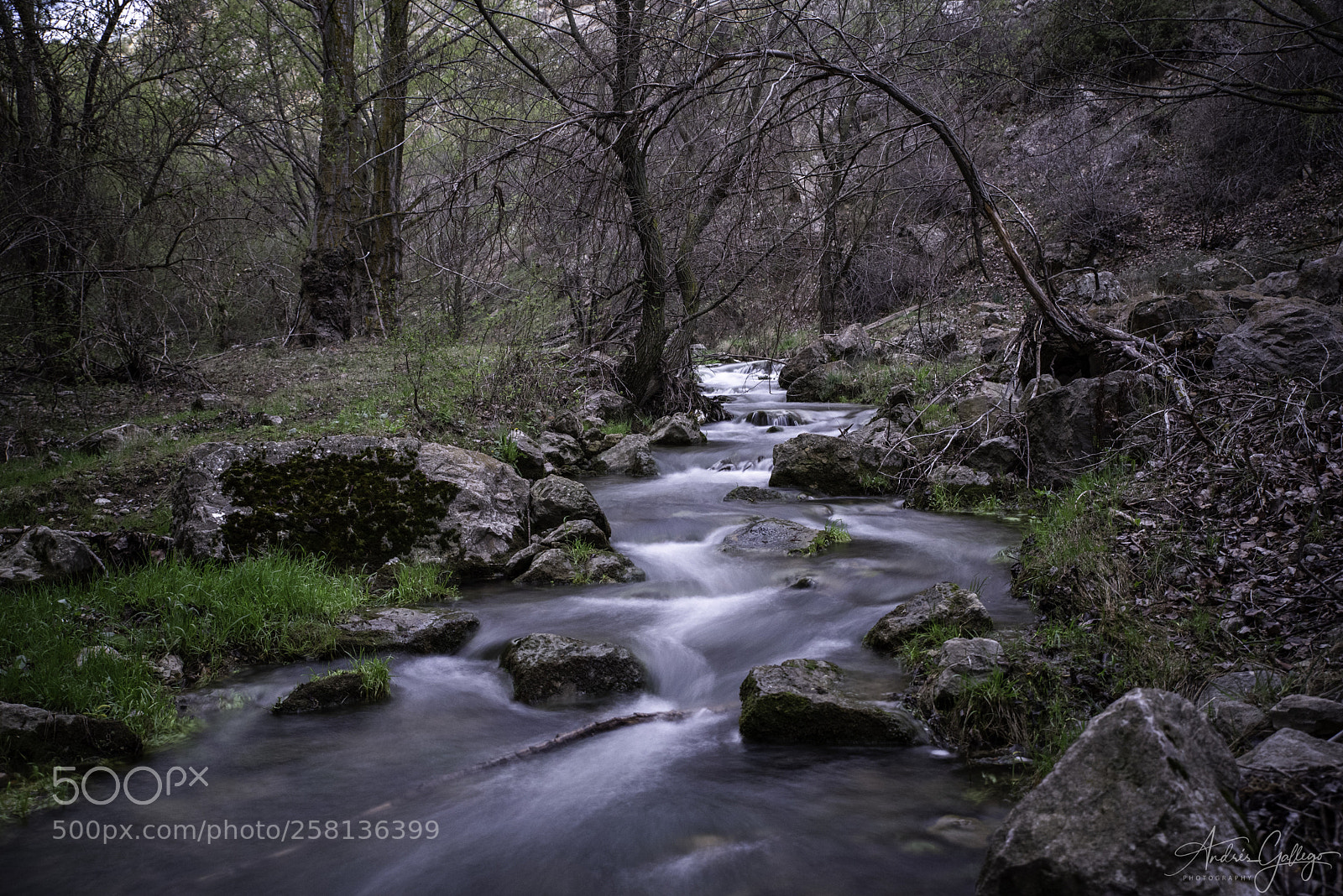 Nikon D750 sample photo. Streams photography