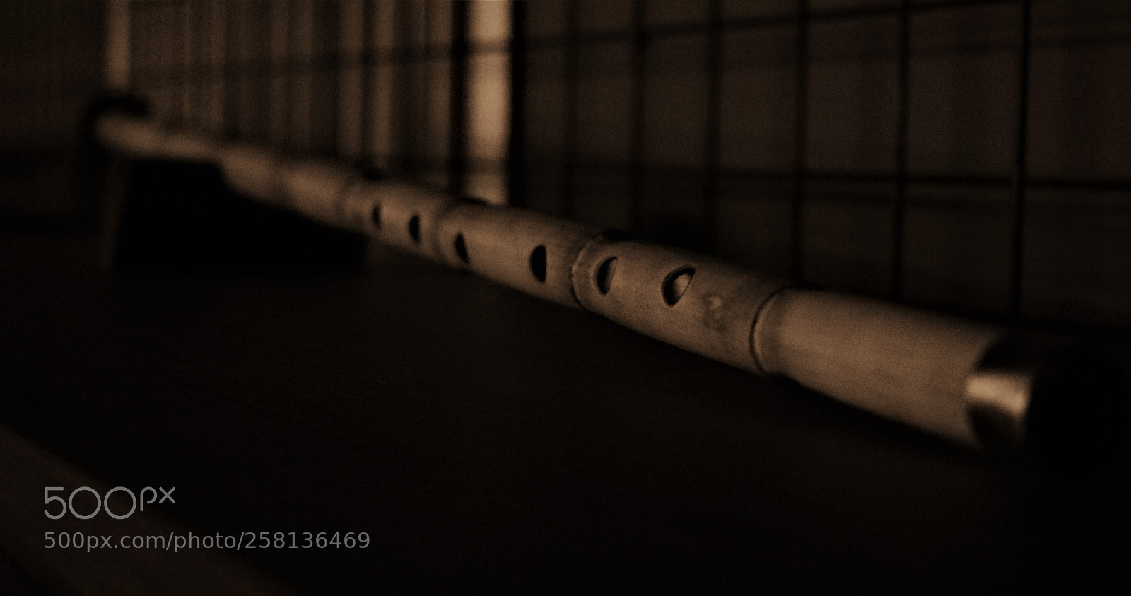 Canon EOS 80D sample photo. Wind instrument photography