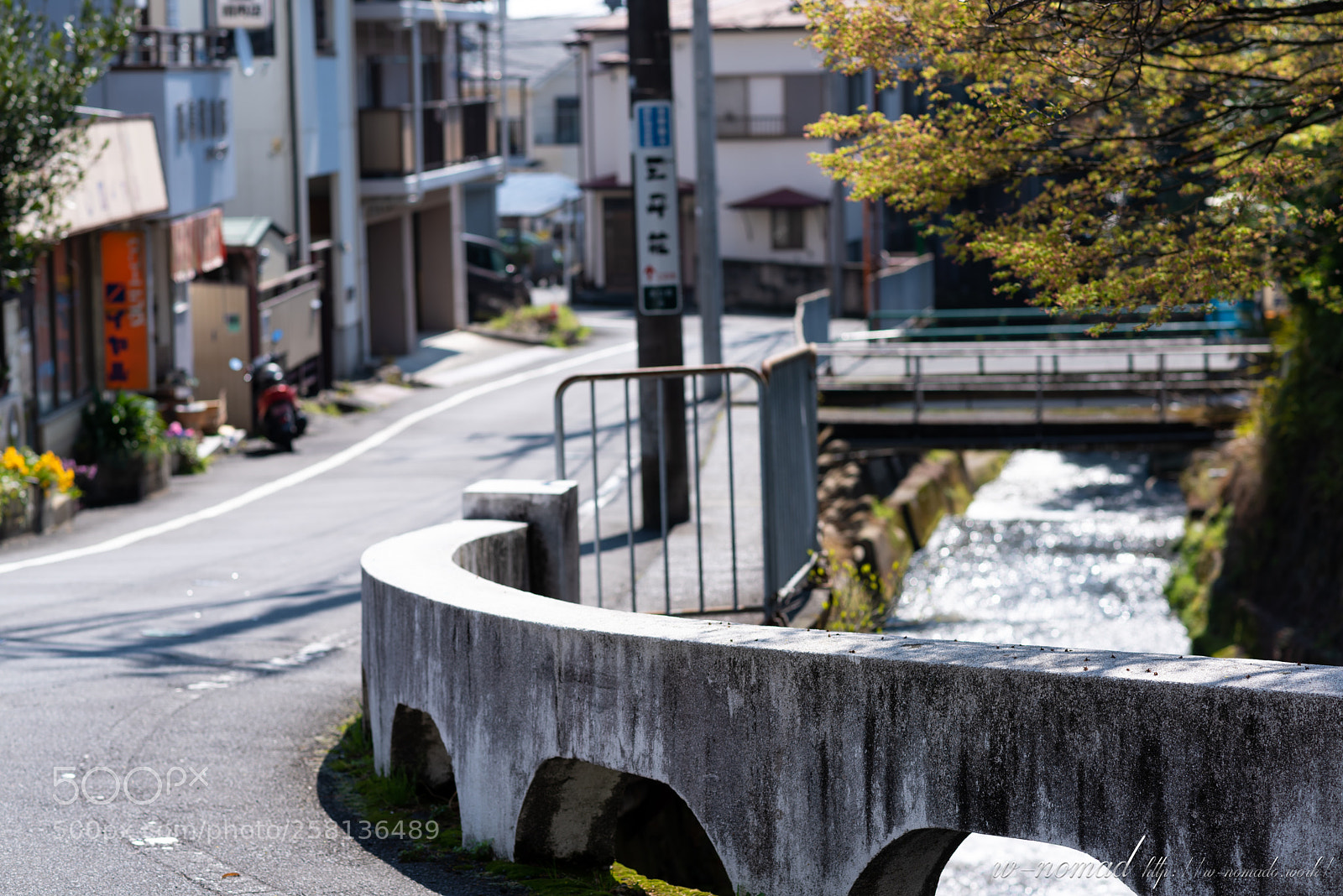 Nikon D750 sample photo. Casual daily photography