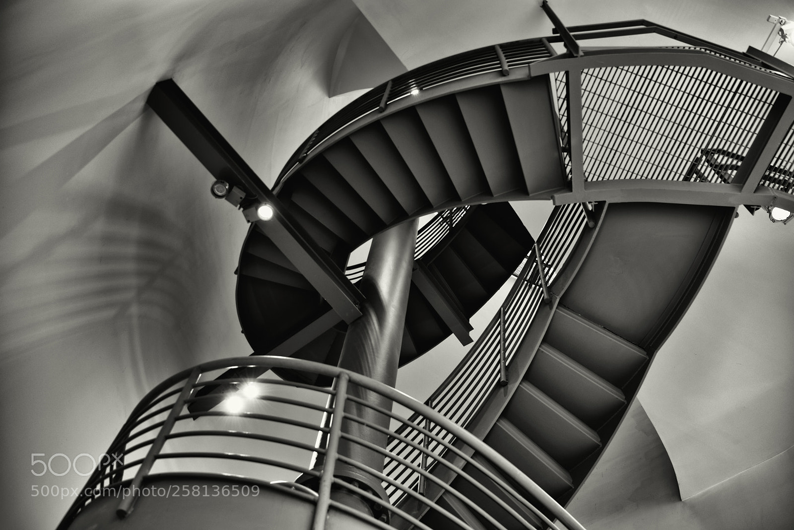 Nikon D810 sample photo. Stairs in the spotlight photography