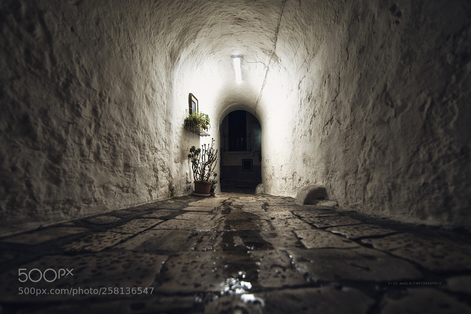 Nikon D750 sample photo. Giù per il tunnel photography