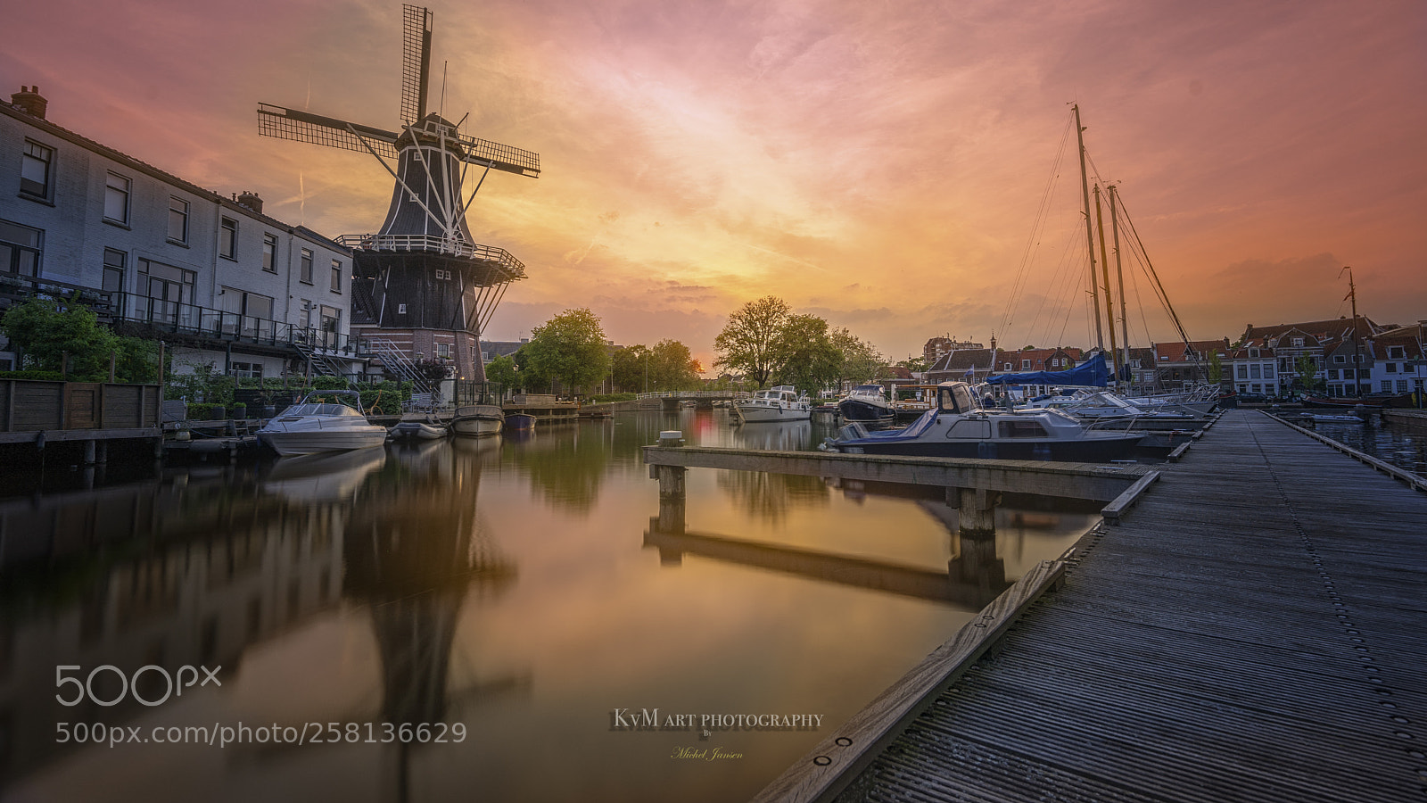 Sony a7 II sample photo. Susetmetcolorhaarlem photography
