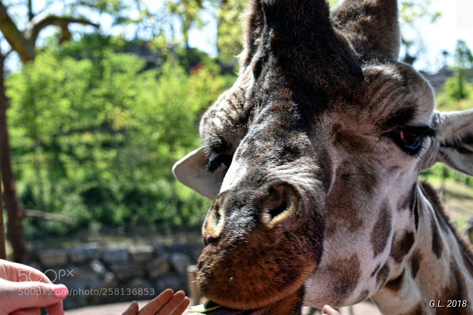 Nikon D3400 sample photo. Untitled photography