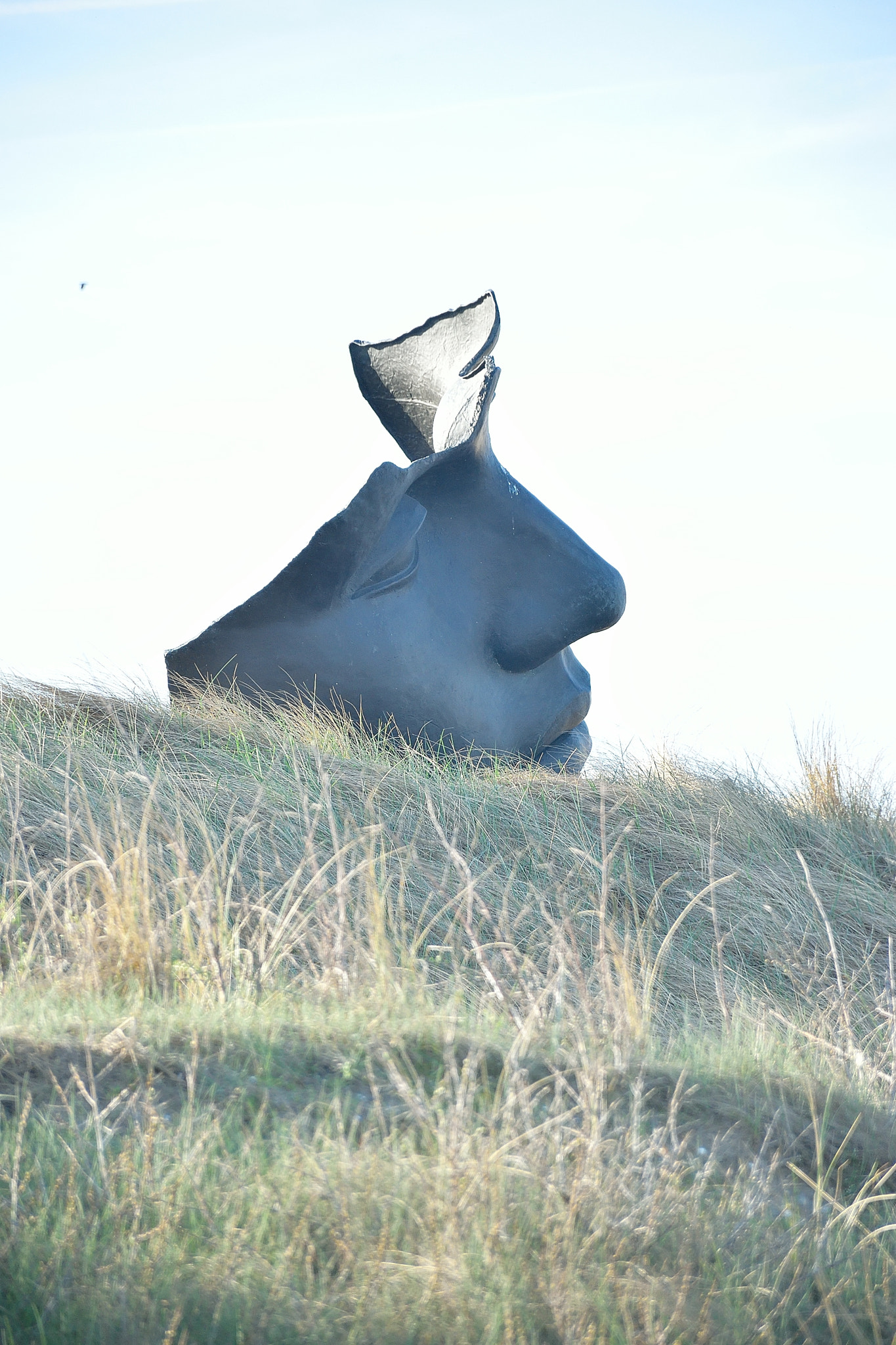 Nikon D5300 sample photo. Face photography