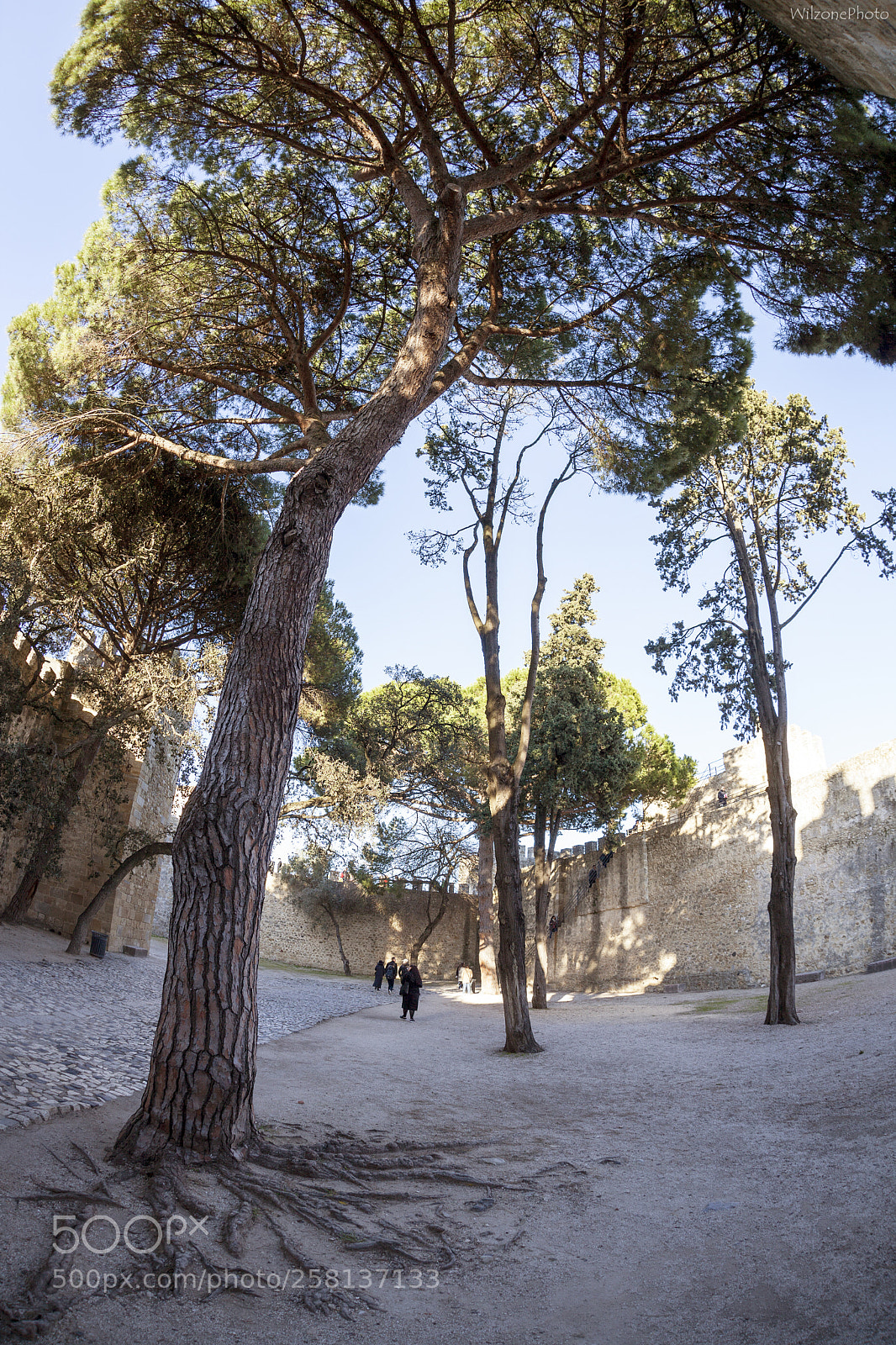 Canon EOS 5D Mark II sample photo. Lisboa 5442 photography