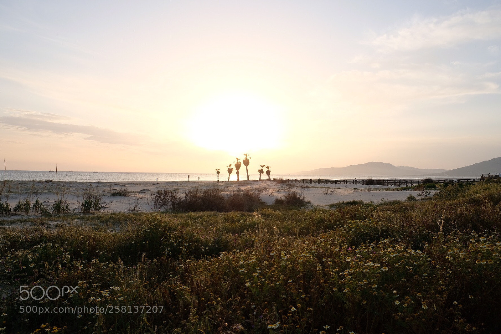 Fujifilm X-T20 sample photo. Tarifa beach photography