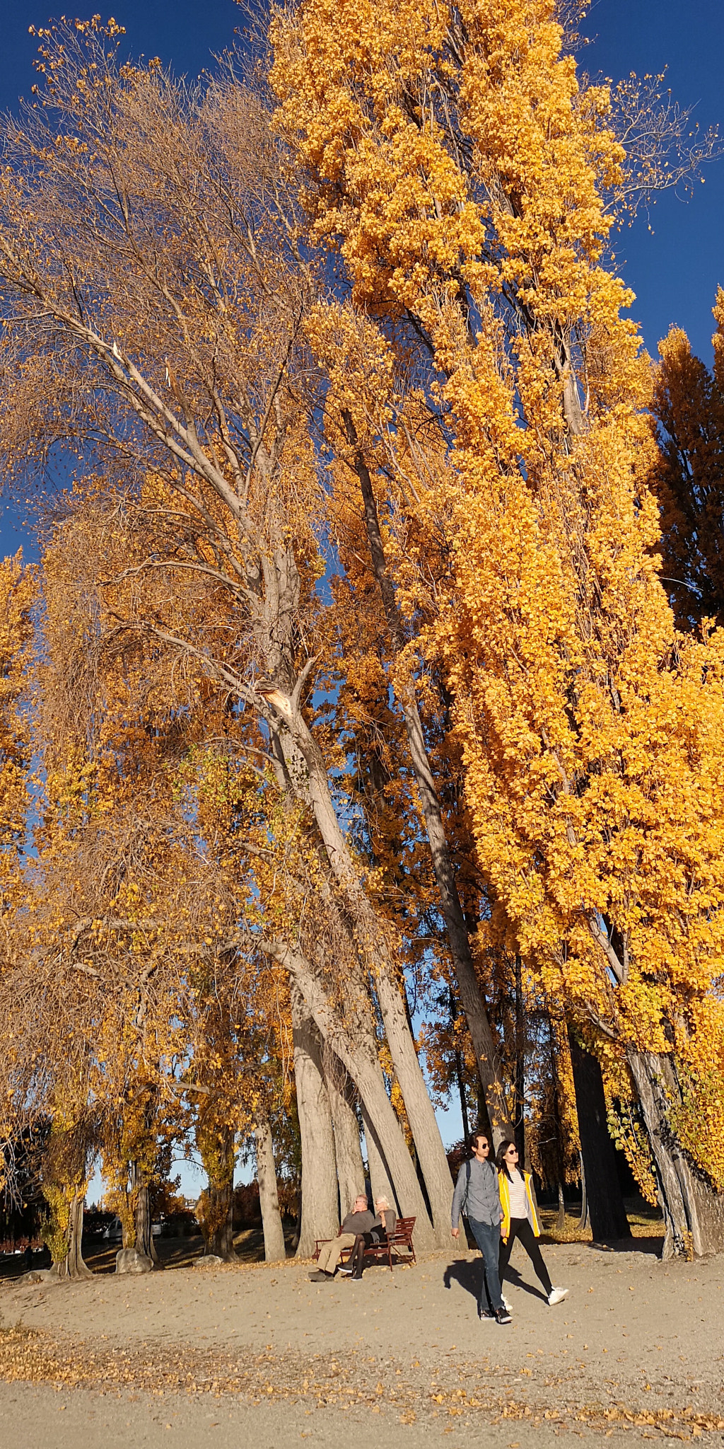 HUAWEI P20 Pro sample photo. Never alive will we keep that word photography