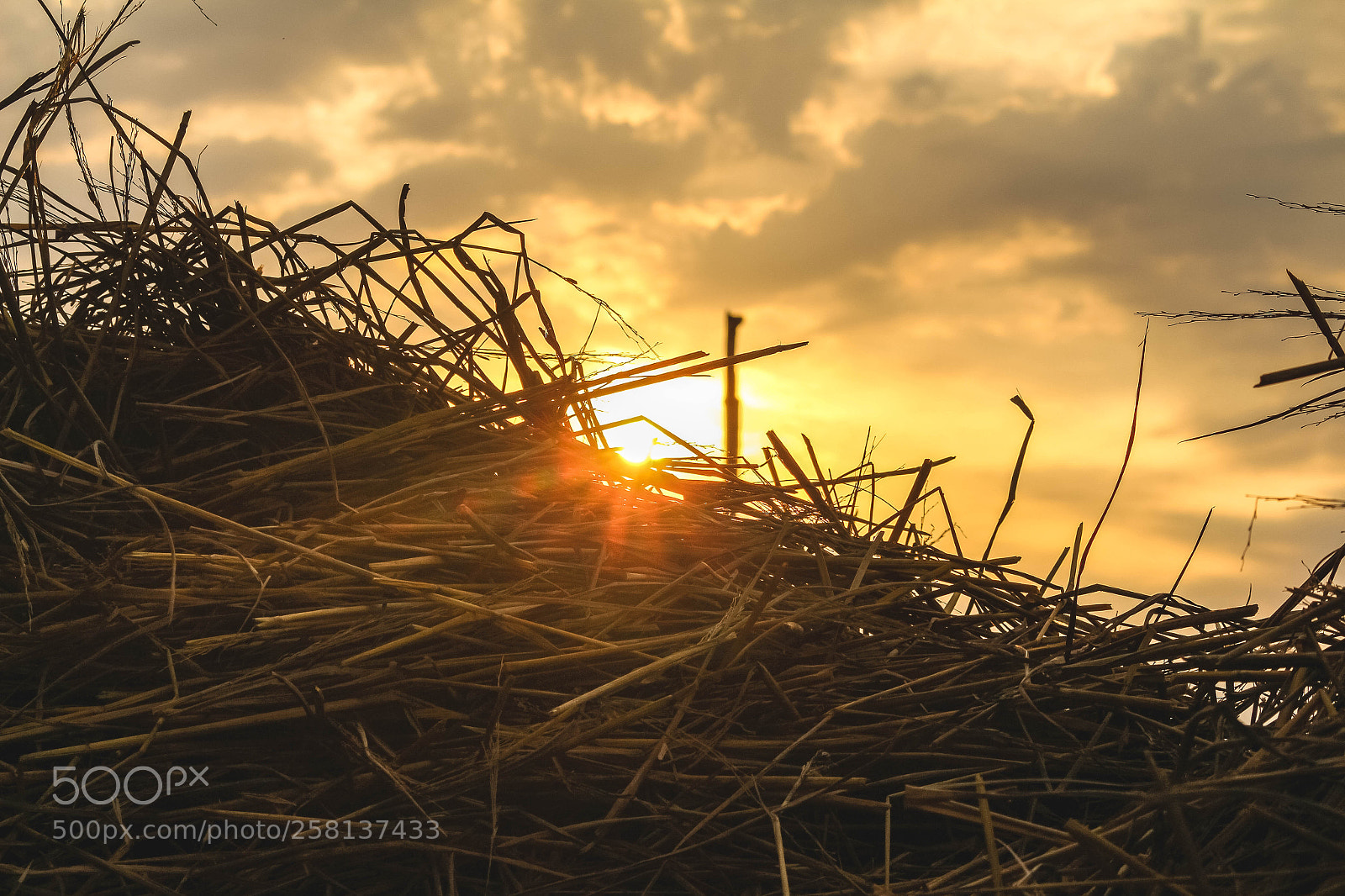 Canon EOS 650D (EOS Rebel T4i / EOS Kiss X6i) sample photo. Sunlight over the haystack photography
