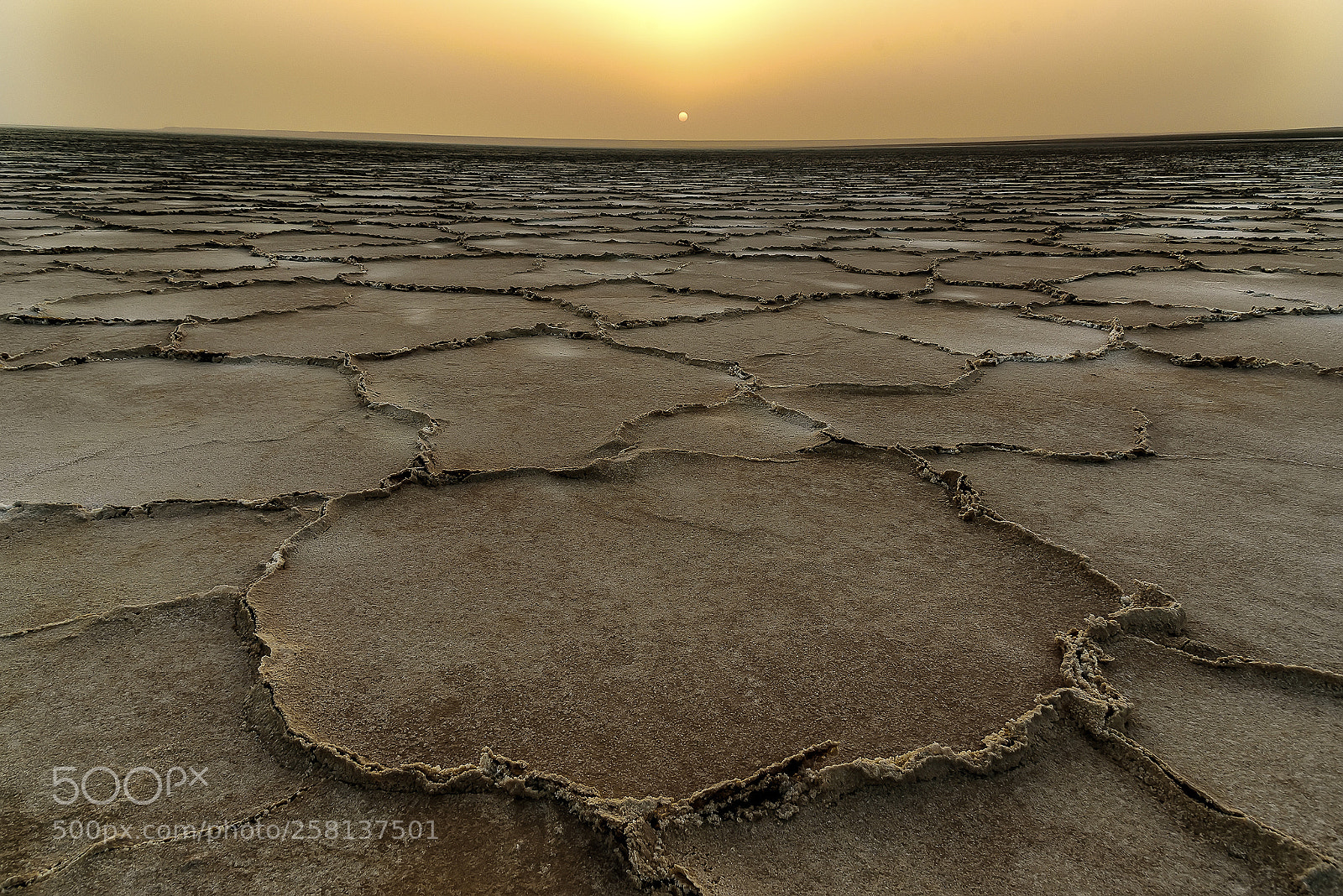 Nikon D750 sample photo. The salt lake photography