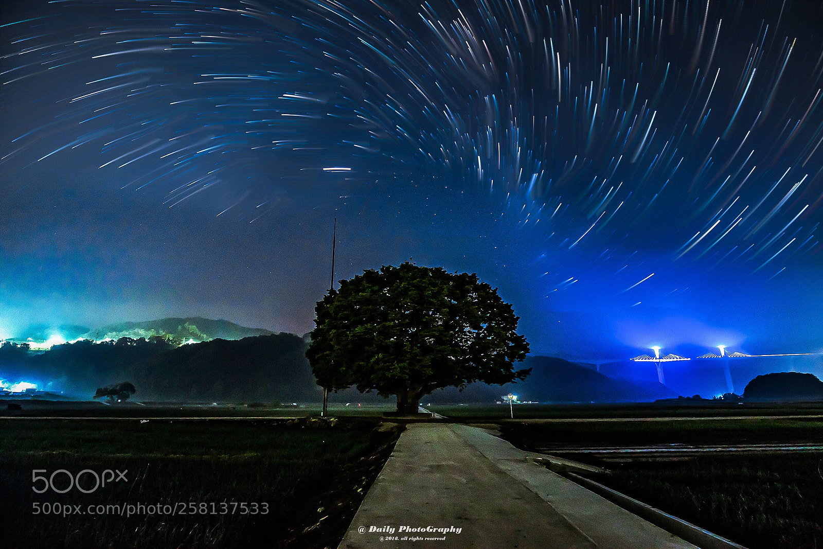 Canon EOS 6D Mark II sample photo. Zelkova upper milky way photography