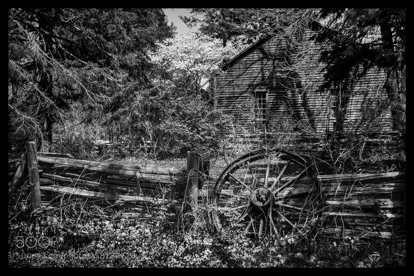 Nikon D810 sample photo. Cgs_b&wyard photography