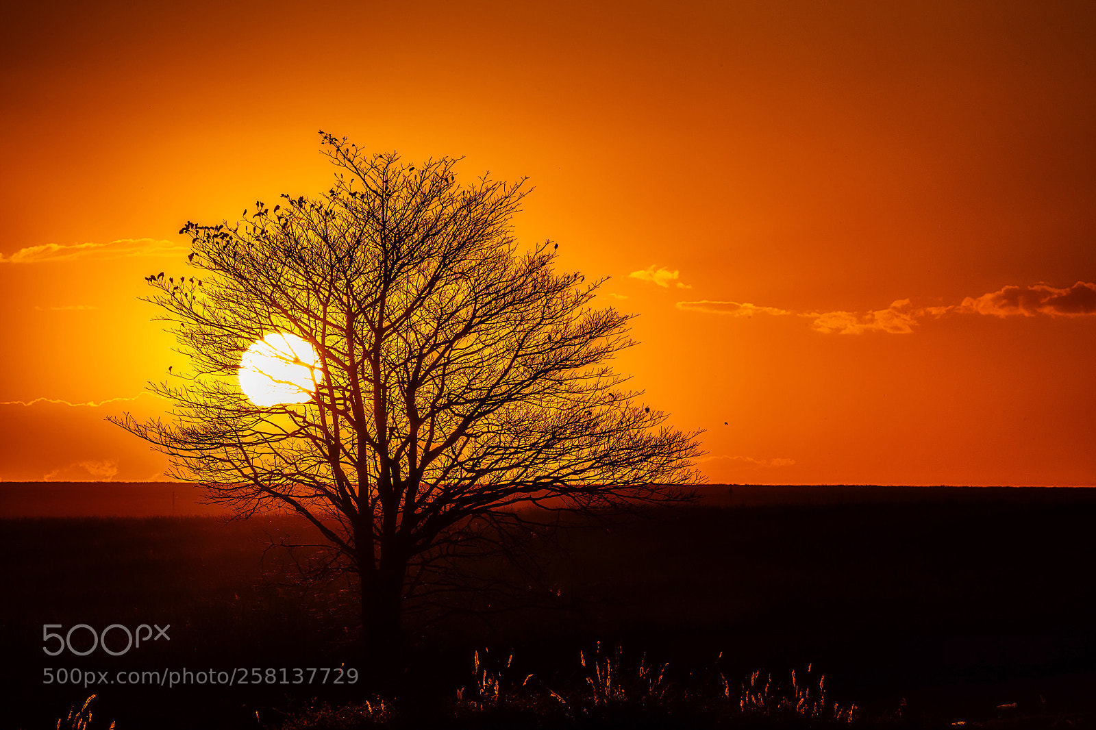 Canon EOS 6D sample photo. The last light photography