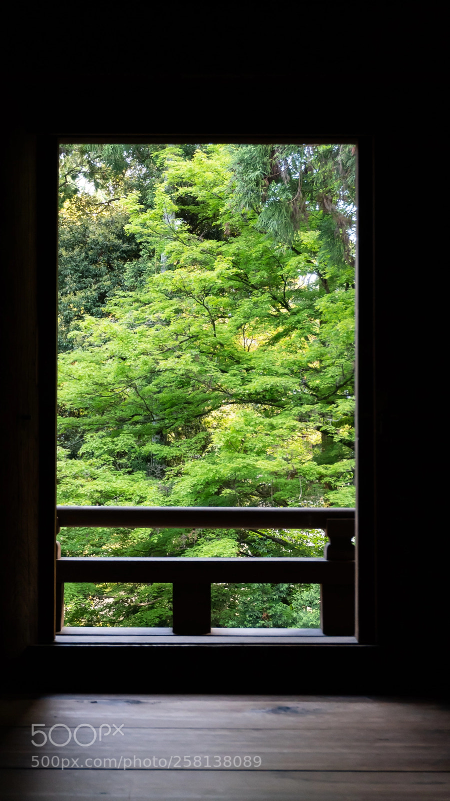 Sony a6300 sample photo. Portal to serenity photography