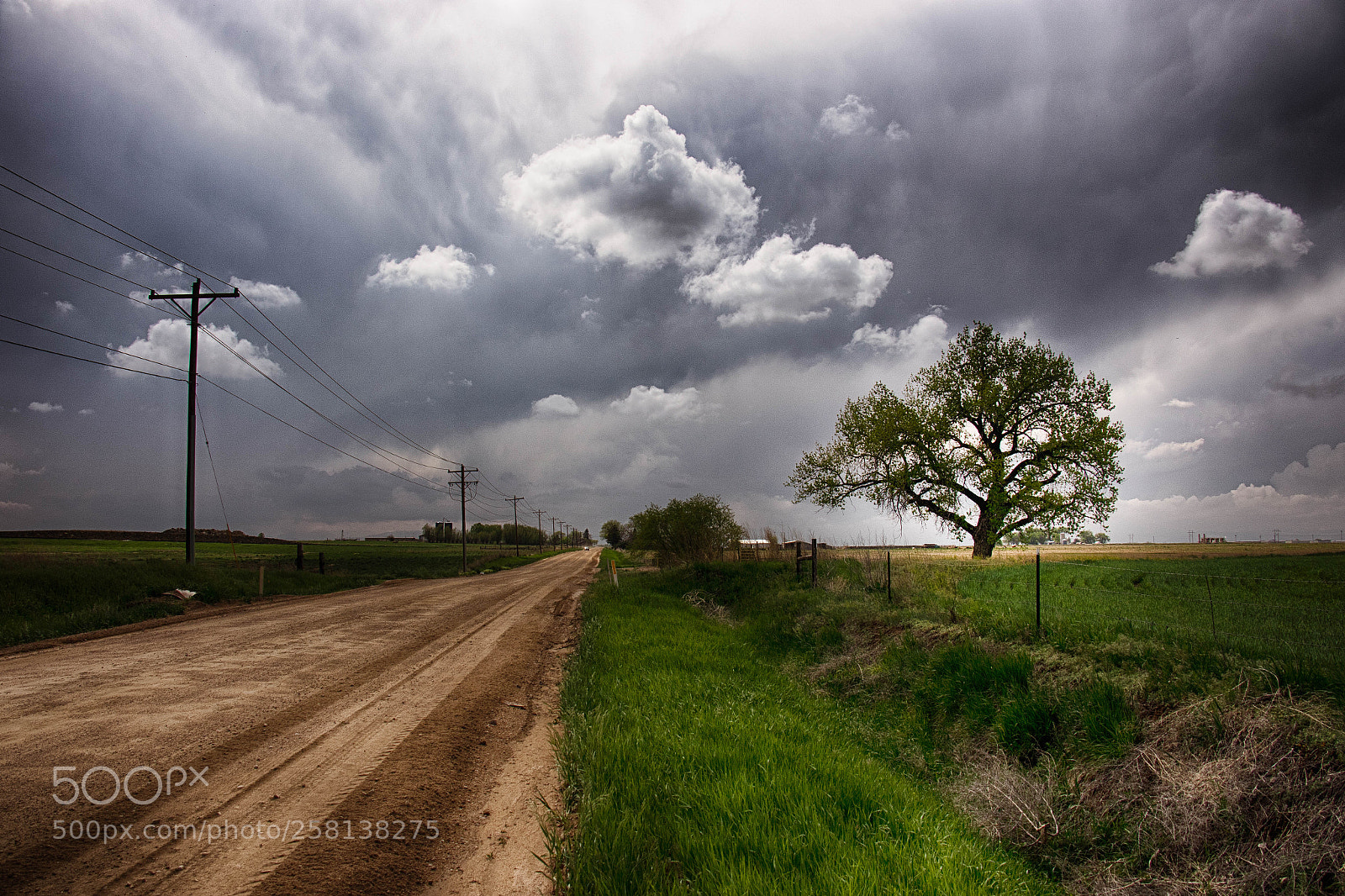 Canon EOS 7D Mark II sample photo. Country roads xvi photography