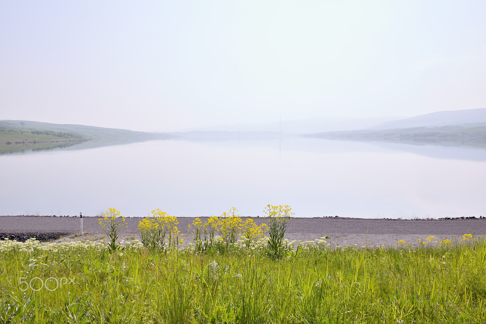 Nikon D5300 sample photo. Czech landscape with flowering meadow, gravel path and new lake named milada in foggy spring morning photography