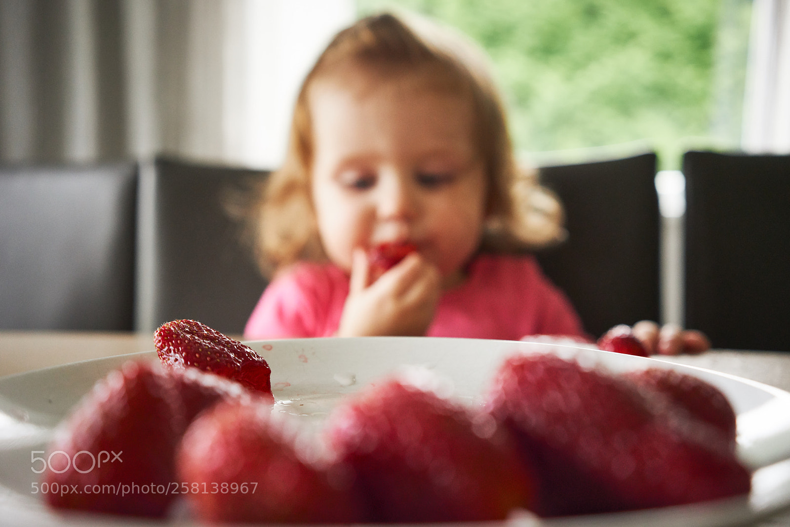 Sony a7R III sample photo. G photography