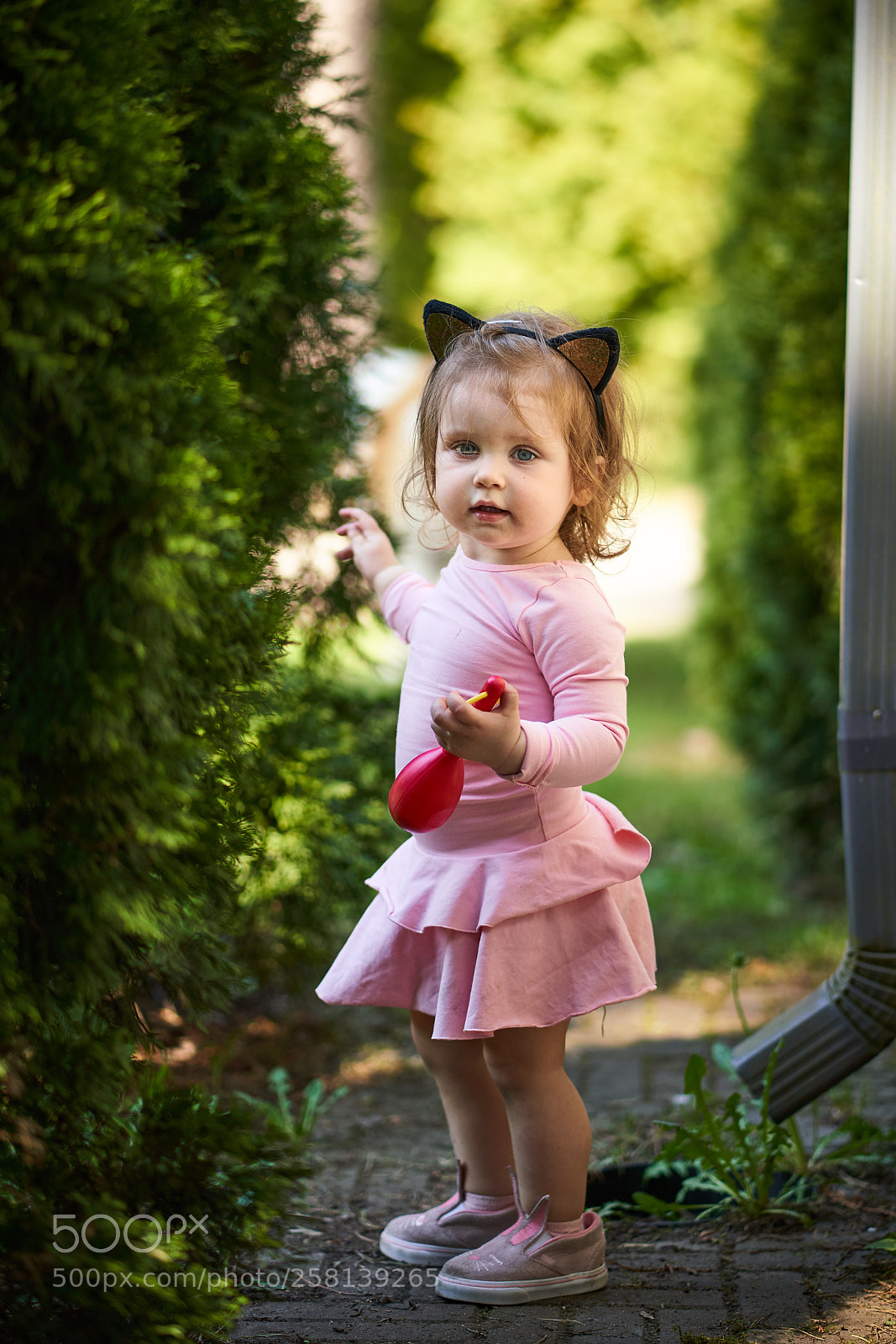 Sony a7R III sample photo. G photography