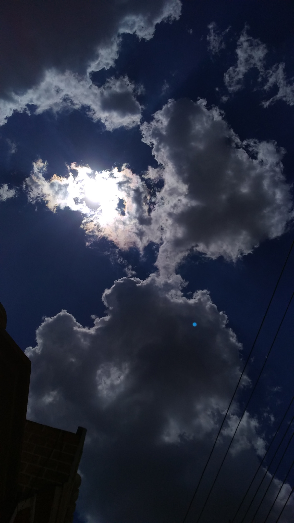 Xiaomi MI MAX 2 sample photo