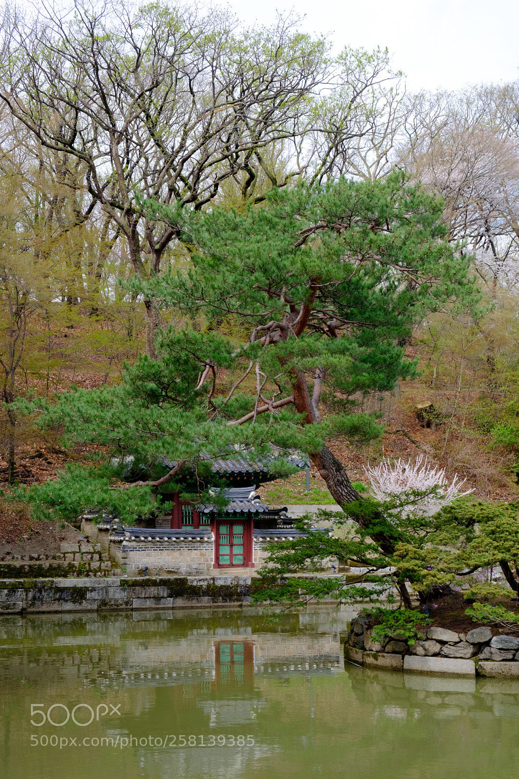 Fujifilm X-T20 sample photo. The secret garden photography