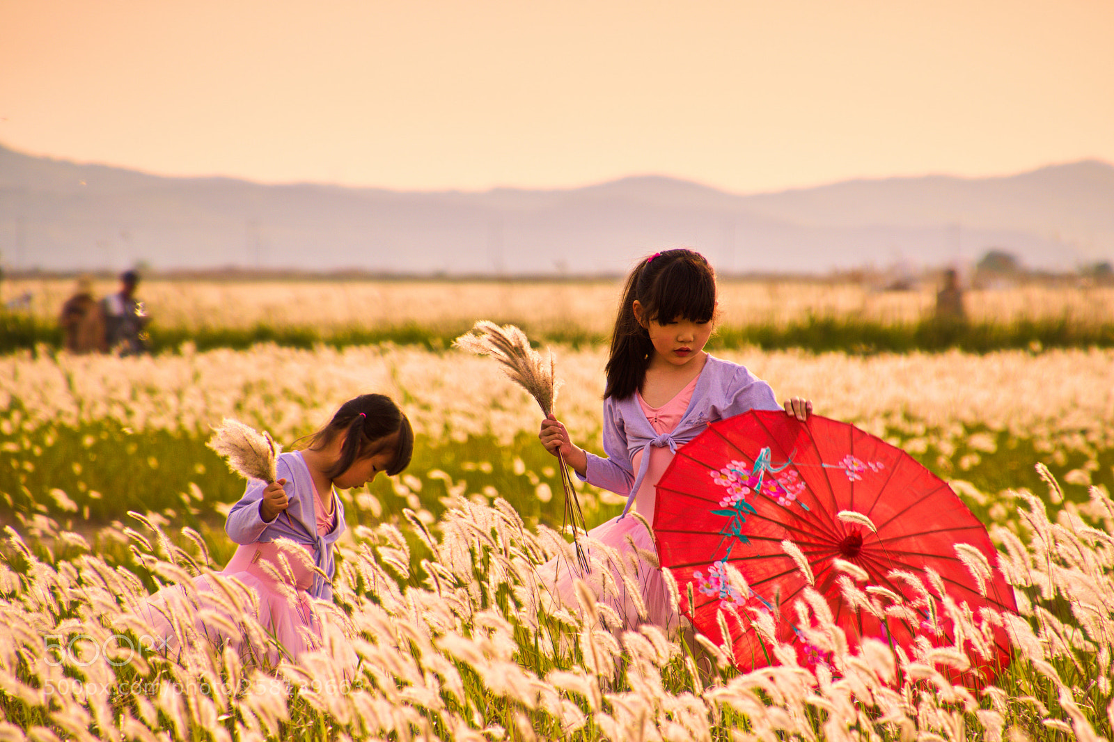 Nikon D5500 sample photo. Girls in the meadow photography