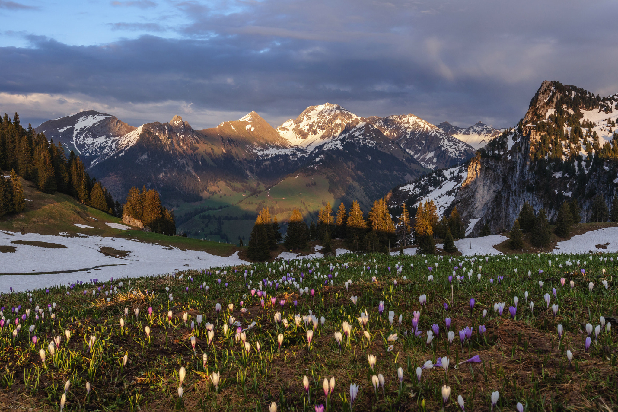 Canon EOS M6 sample photo. Spring in the alps photography