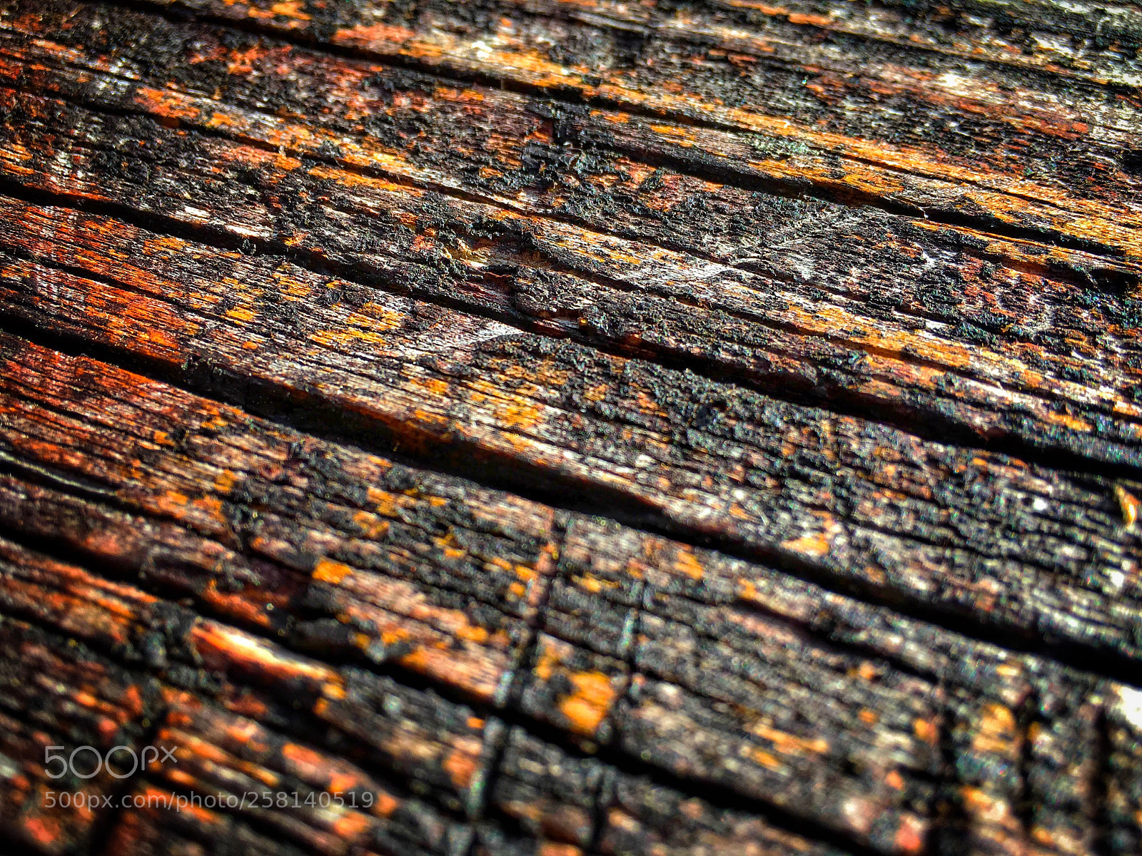 Apple iPhone 6s Plus sample photo. Wood colors photography