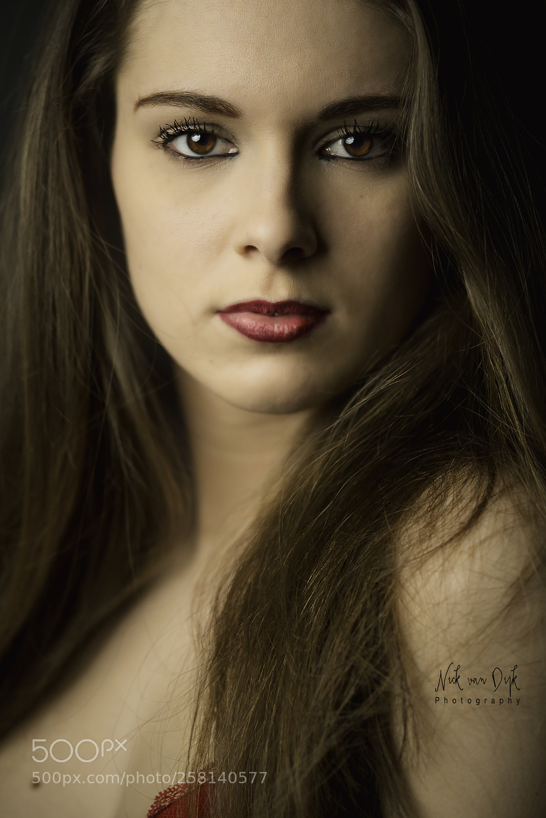 Nikon D800 sample photo. Zoya s2 ~ vii photography