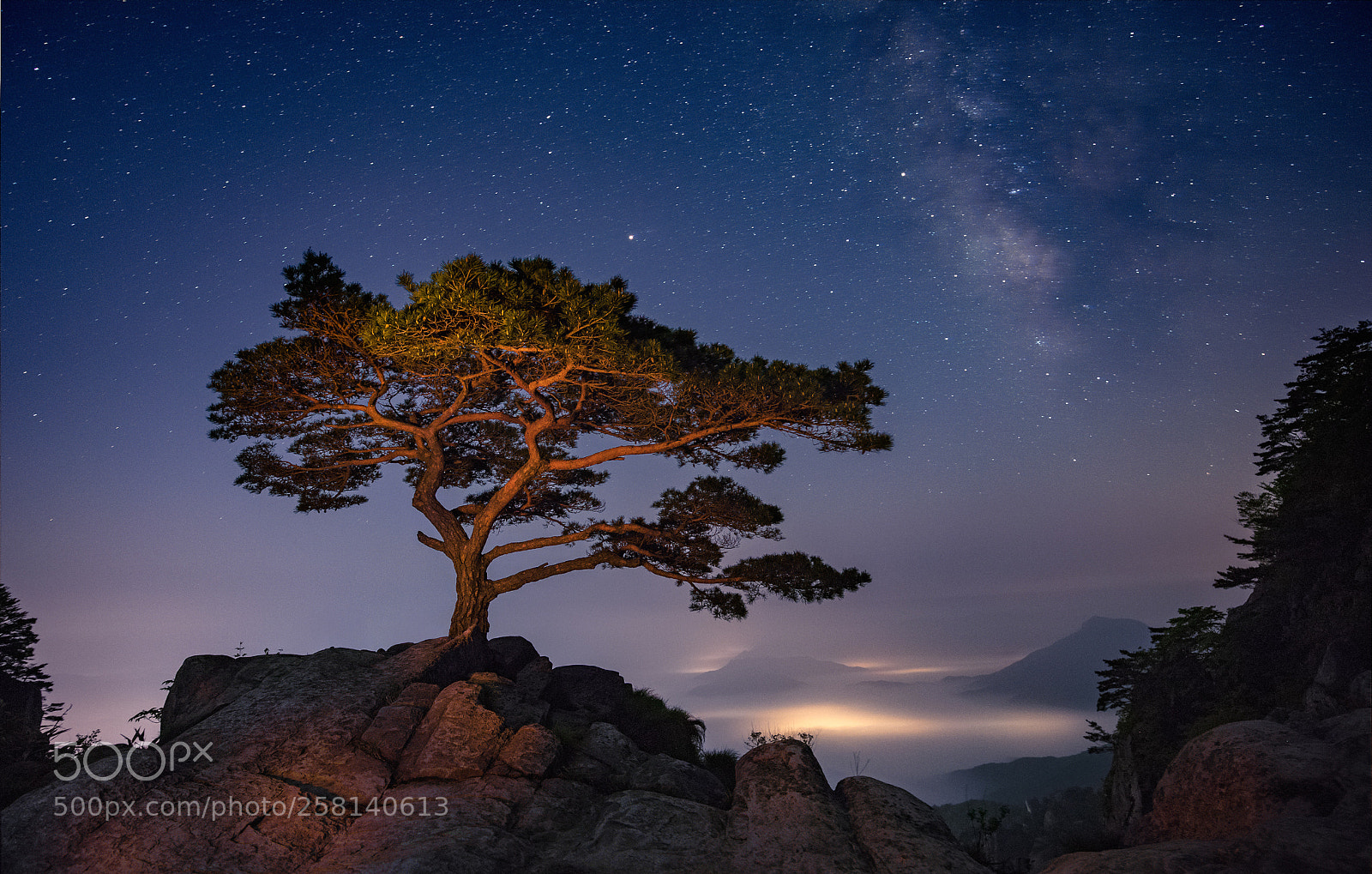 Canon EOS 5D Mark IV sample photo. Under the stars photography