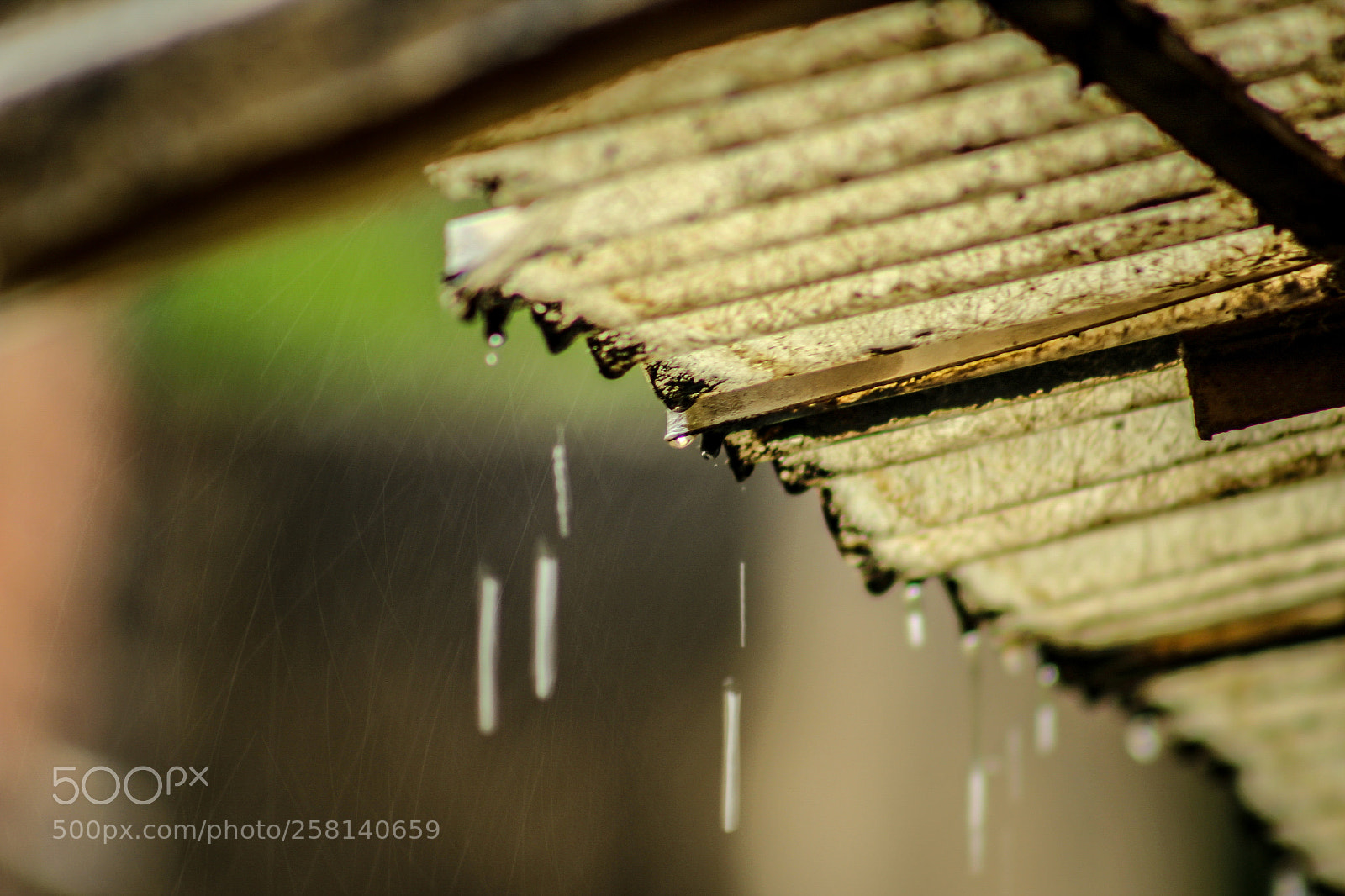 Canon EOS 1200D (EOS Rebel T5 / EOS Kiss X70 / EOS Hi) sample photo. Rain fall photography