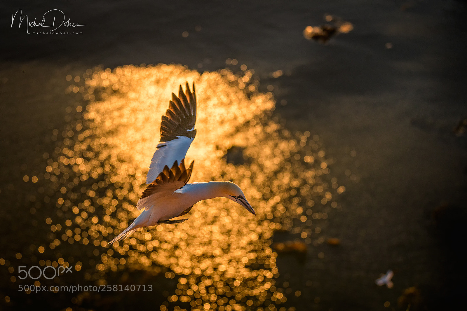 Canon EOS 5D Mark IV sample photo. When the sun goes photography
