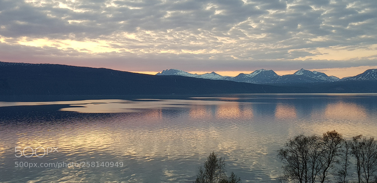 Samsung Galaxy S8 sample photo. Pink reflection photography