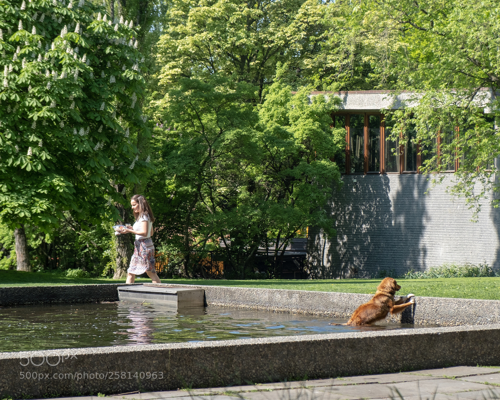 Fujifilm X-T20 sample photo. Untitled photography