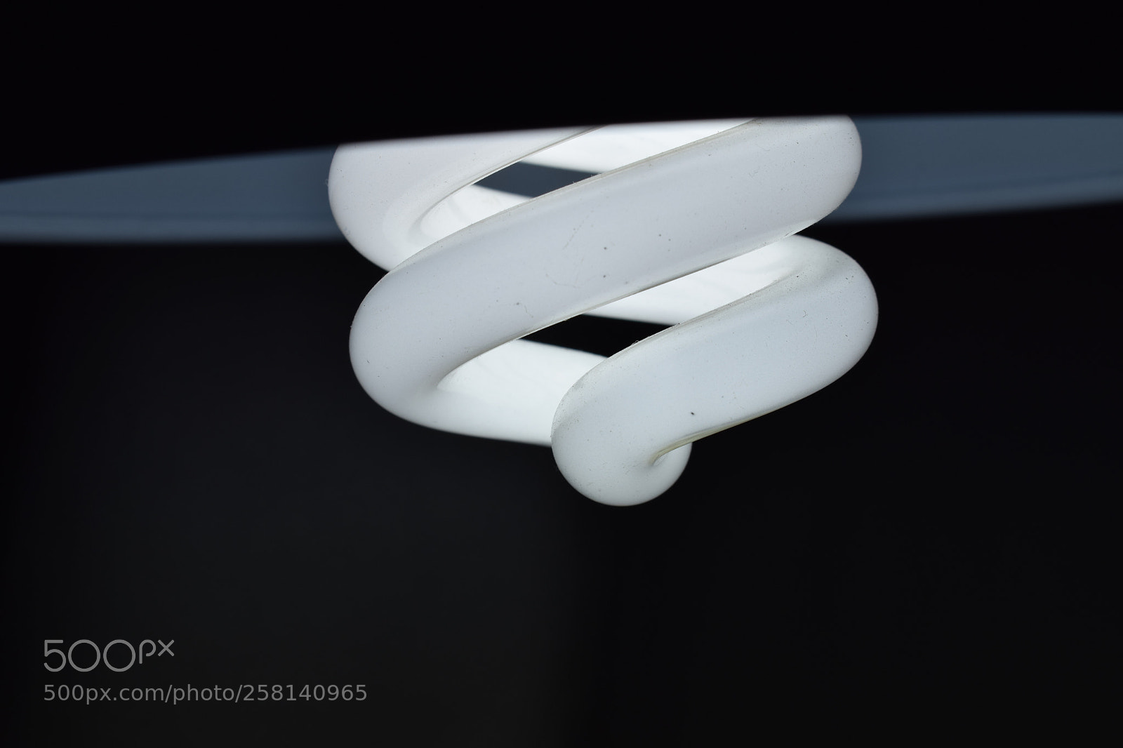 Nikon D3300 sample photo. Light of life photography