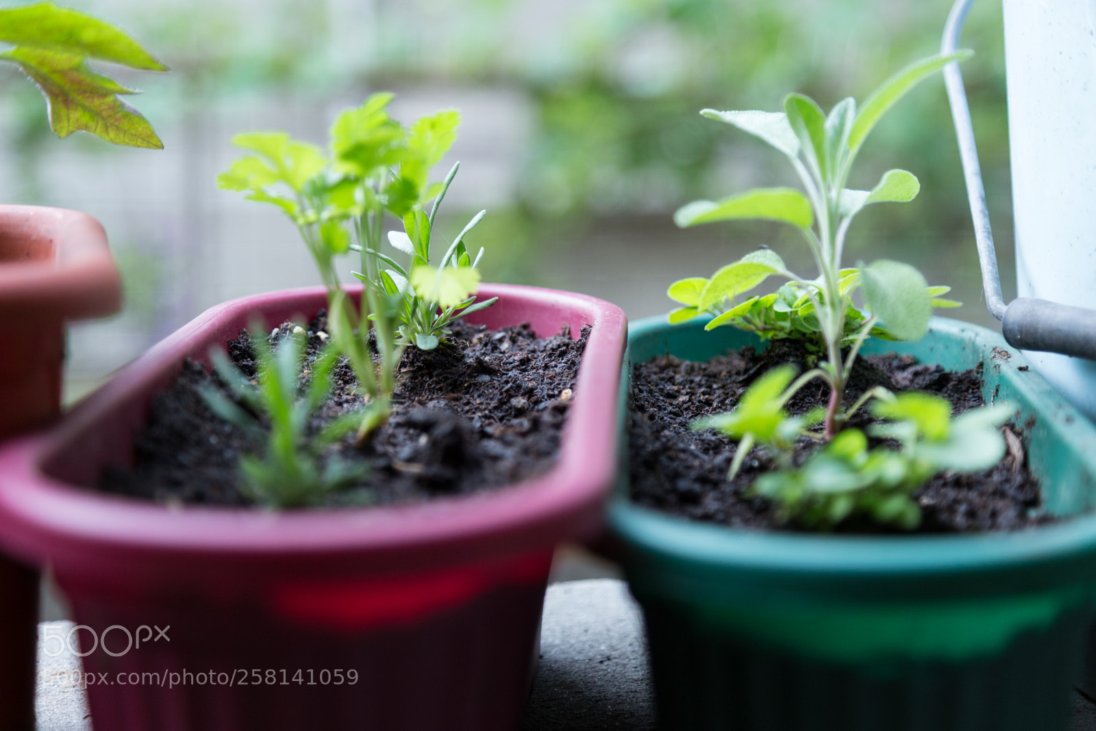Canon EOS 6D sample photo. Untitled photography